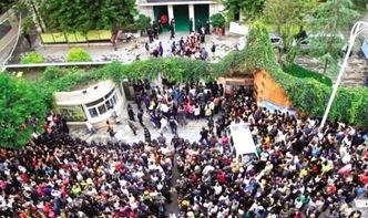 昆明爆料螺狮湾事件视频,视频揭露惊人真相