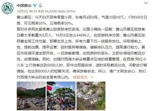 河北抖音媒体爆料视频,最新视频揭露惊人真相！